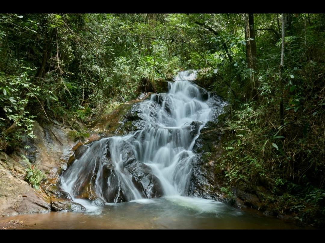 Pousada Verde Folhas Casa Branca Bagian luar foto